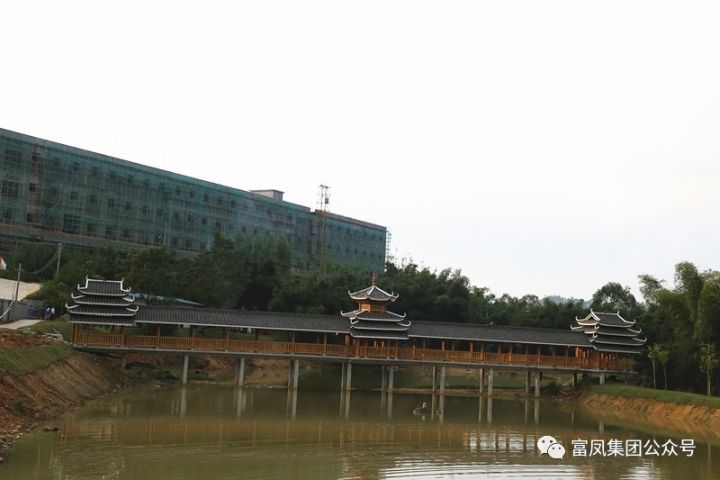 广西榴莲视频成人官网农牧集团