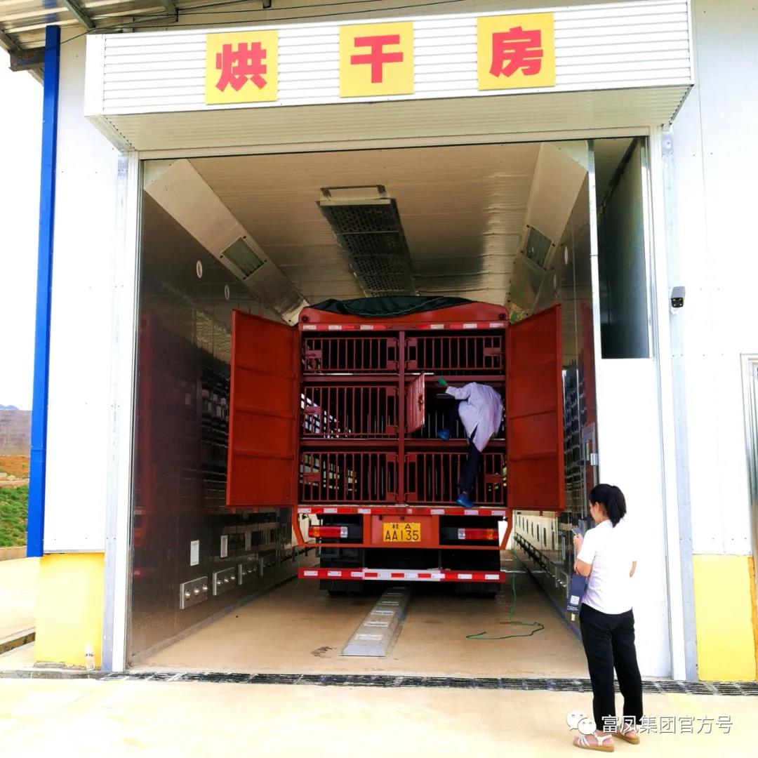 广西榴莲视频成人官网集团