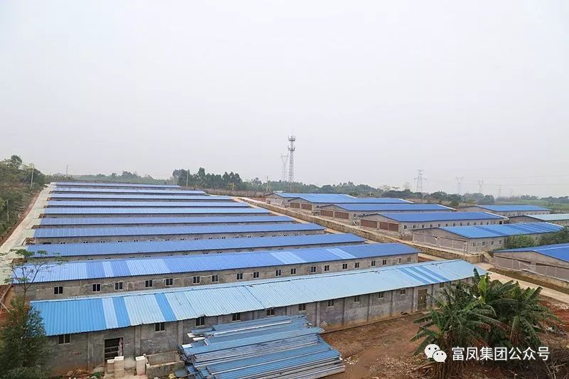 广西榴莲视频成人官网农牧集团