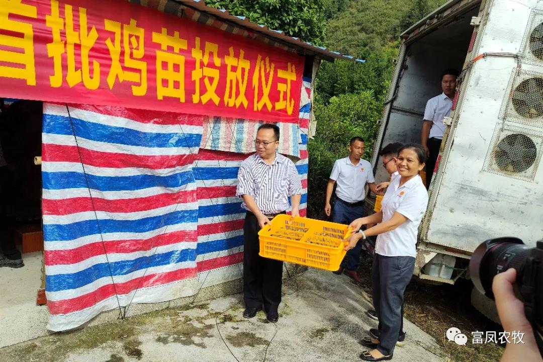 广西榴莲视频成人官网农牧集团