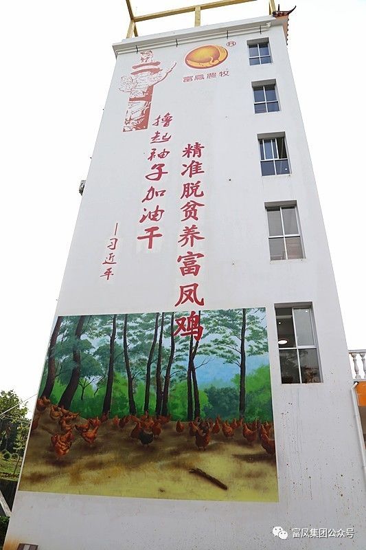 广西榴莲视频成人官网农牧集团