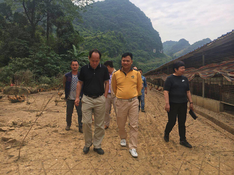 广西榴莲视频成人官网农牧集团