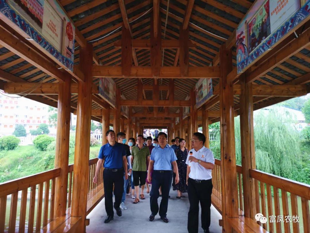 广西榴莲视频成人官网农牧集团