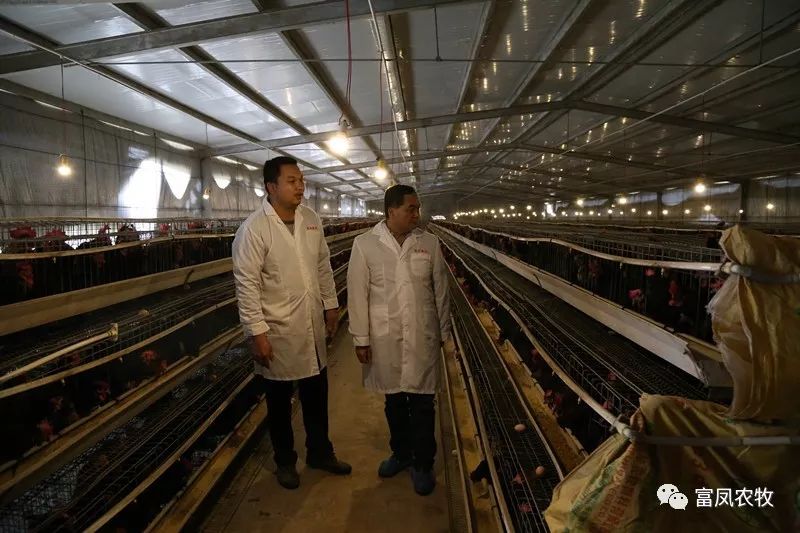 广西榴莲视频成人官网农牧集团